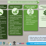 Risk Factors for Mangrove restoration