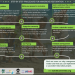 Step by Step Process for Mangrove Restoration