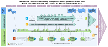 process architecture, regional ocean governance strategy, collective leadership