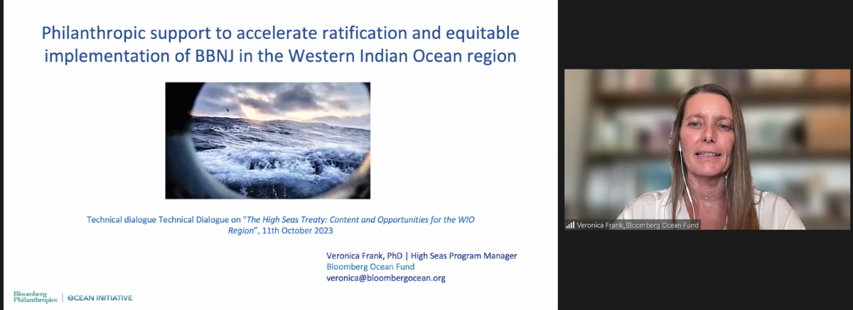 bbnj treaty and ocean governance, bbnj treaty, wio rogs, ocean governance, high seas treaty