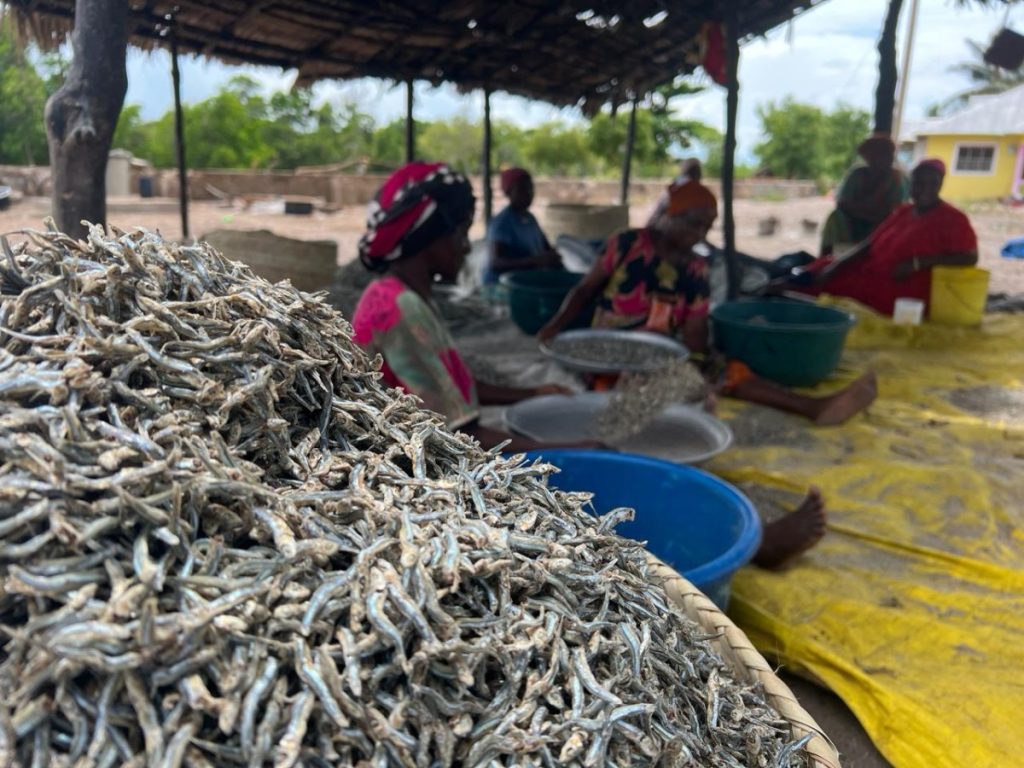 gender inclusivity, women, governance ,ocean governance