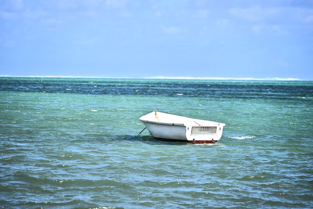 Strengthening Marine Ecosystems: The Case of Mauritius