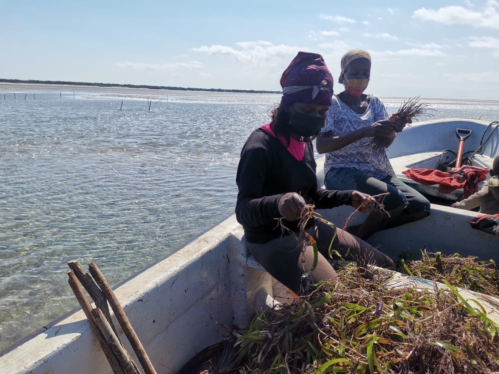 women, gender inclusivity, ocean governance,